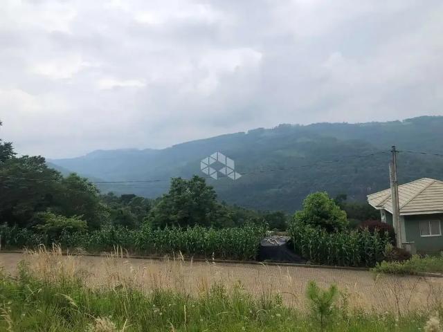 Terreno / Lote para Venda em Nova Petrópolis/RS Bavária