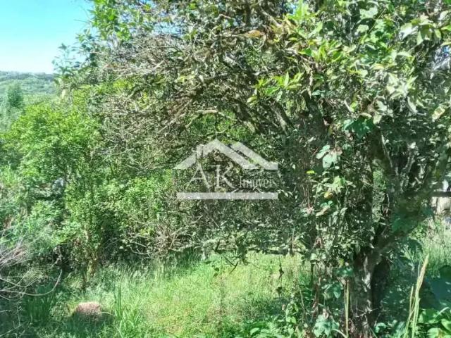 Terreno / Lote para Venda em Nova Petrópolis/RS Bavária