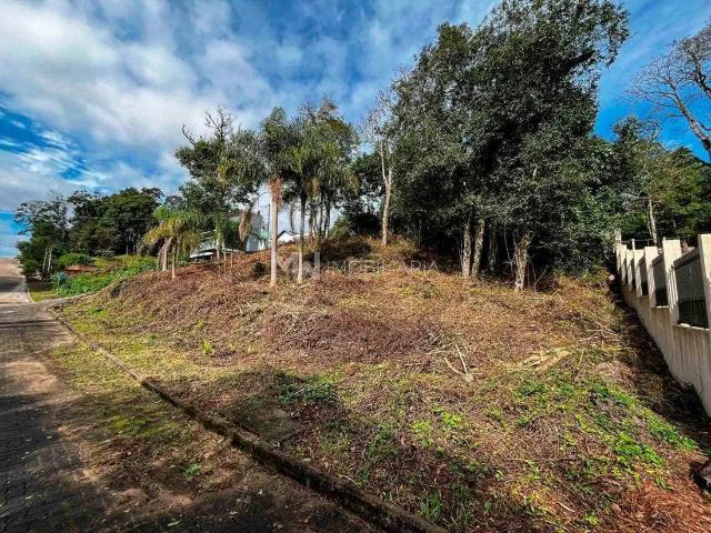 Terreno / Lote para Venda em Nova Petrópolis/RS Bavária