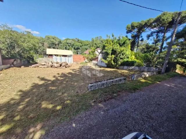 Terreno / Lote para Venda em Nova Petrópolis/RS Centro