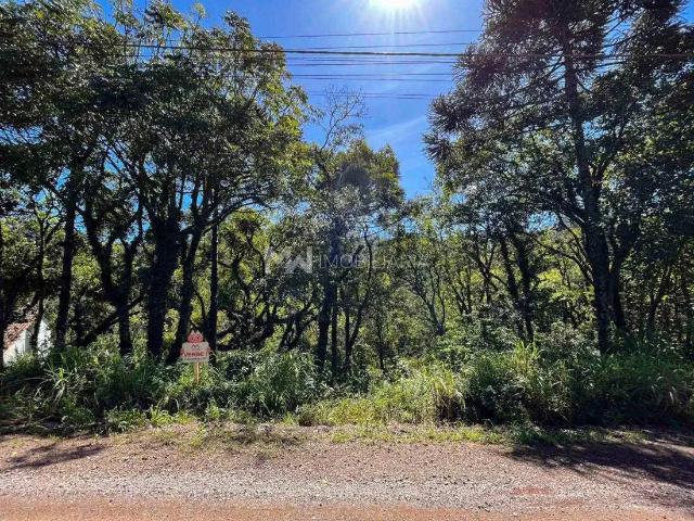 Terreno / Lote para Venda em Nova Petrópolis/RS Centro