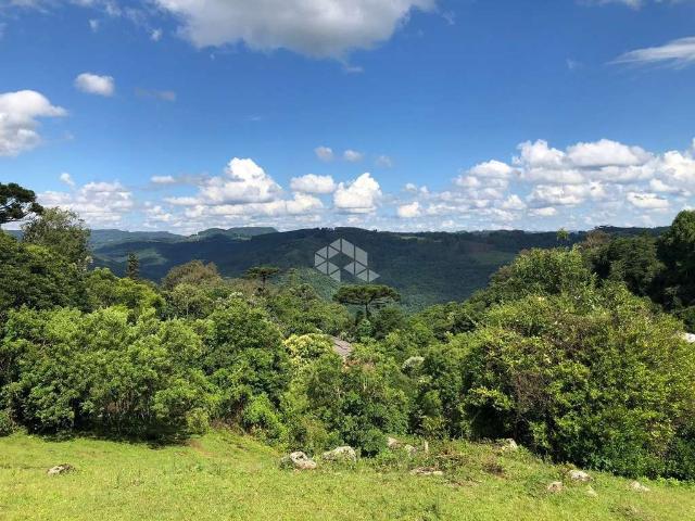 Terreno / Lote para Venda em Nova Petrópolis/RS Recanto do Sossego