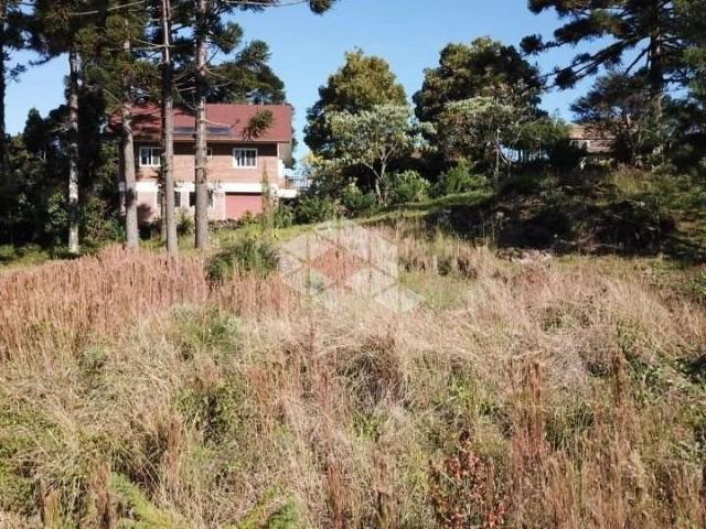 Terreno / Lote para Venda em Nova Petrópolis/RS Recanto do Sossego