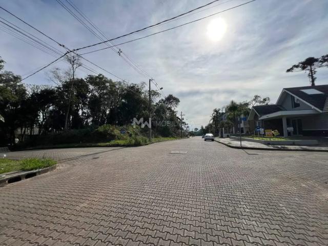 Terreno / Lote para Venda em Nova Petrópolis/RS Juriti