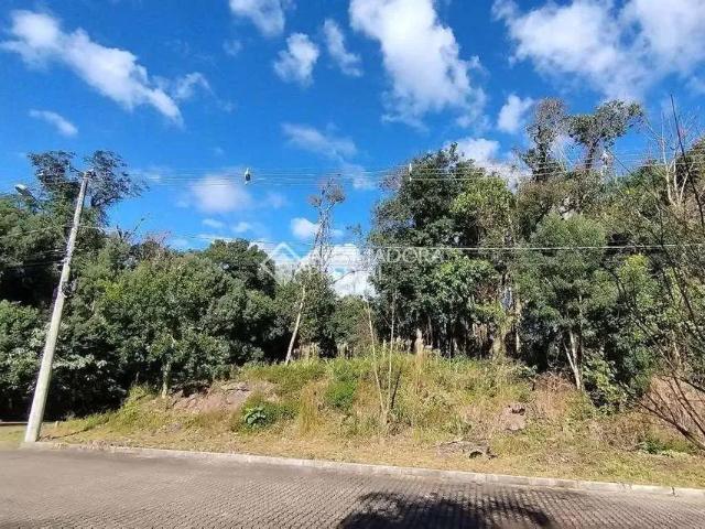 Terreno / Lote para Venda em Nova Petrópolis/RS Juriti