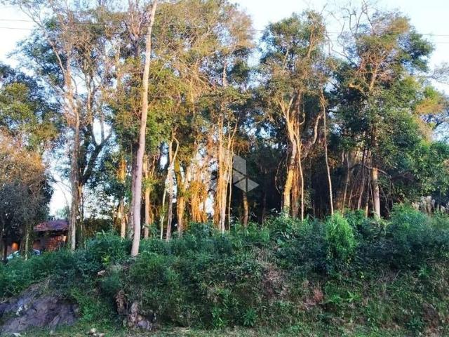 Terreno / Lote para Venda em Nova Petrópolis/RS Juriti