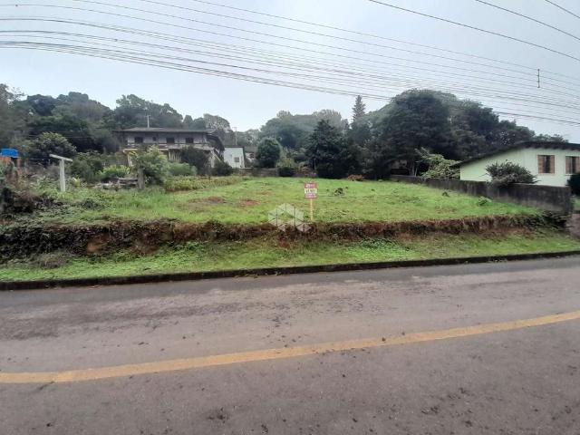 Terreno / Lote para Venda em Nova Petrópolis/RS Juriti