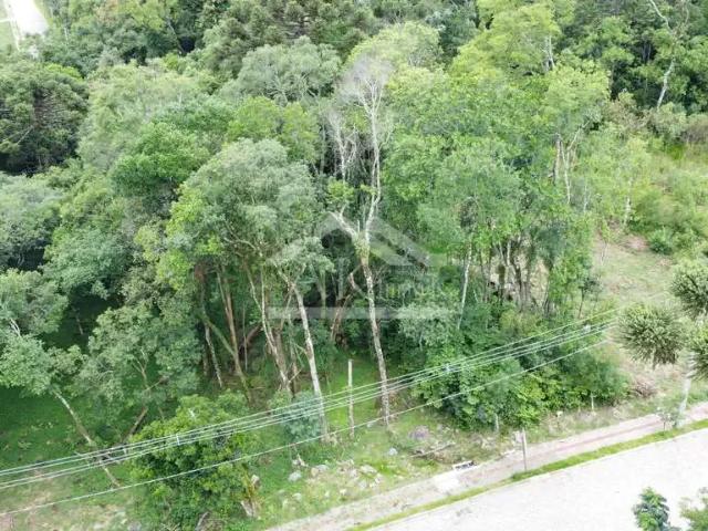 Terreno / Lote para Venda em Nova Petrópolis/RS Linha Imperial
