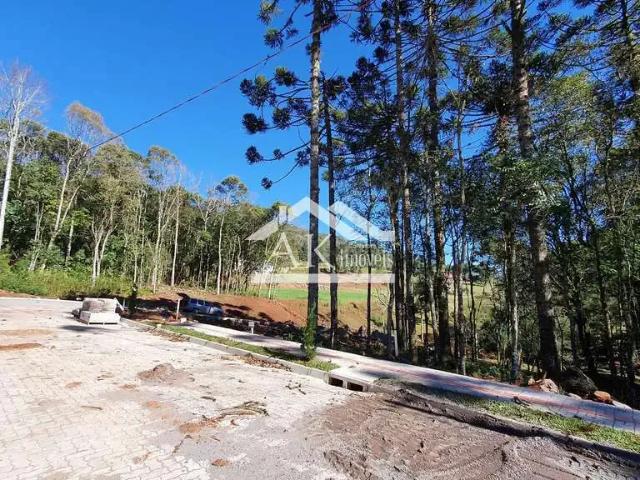 Terreno / Lote para Venda em Nova Petrópolis/RS Linha Imperial