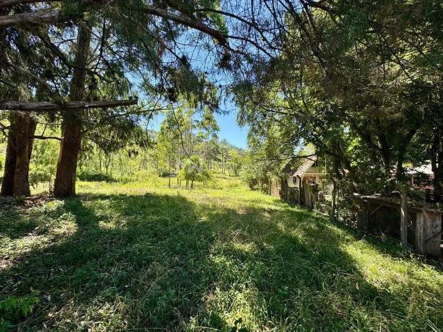 Terreno / Lote para Venda em Nova Petrópolis/RS Linha Imperial