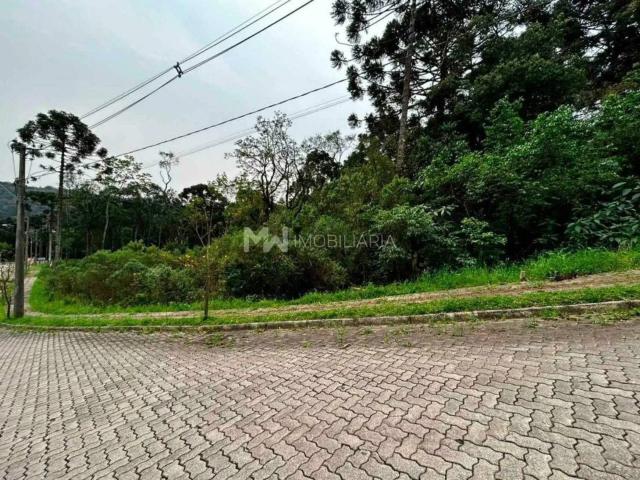 Terreno / Lote para Venda em Nova Petrópolis/RS Linha Imperial