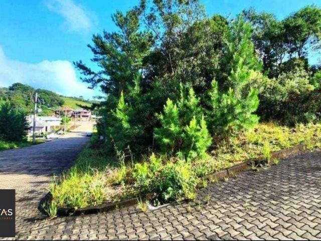 Terreno / Lote para Venda em Nova Petrópolis/RS Linha Imperial