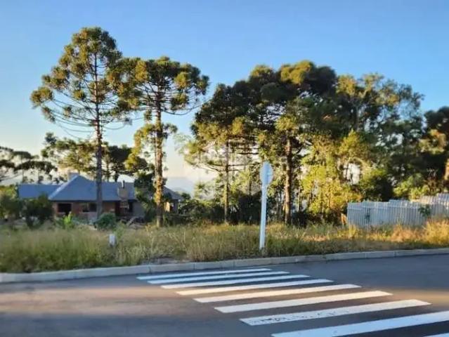 Terreno / Lote para Venda em Nova Petrópolis/RS Linha Olinda