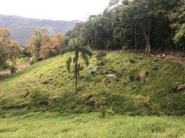 Terreno / Lote para Venda em Nova Petrópolis/RS Linha Olinda