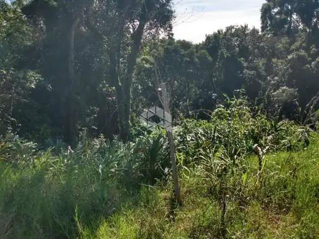Terreno / Lote para Venda em Nova Petrópolis/RS Linha Olinda