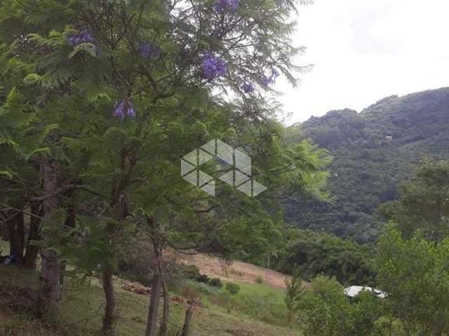 Terreno / Lote para Venda em Nova Petrópolis/RS Linha Pirajá Baixa