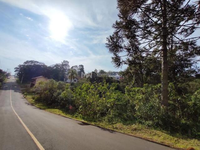 Terreno / Lote para Venda em Nova Petrópolis/RS Logradouro