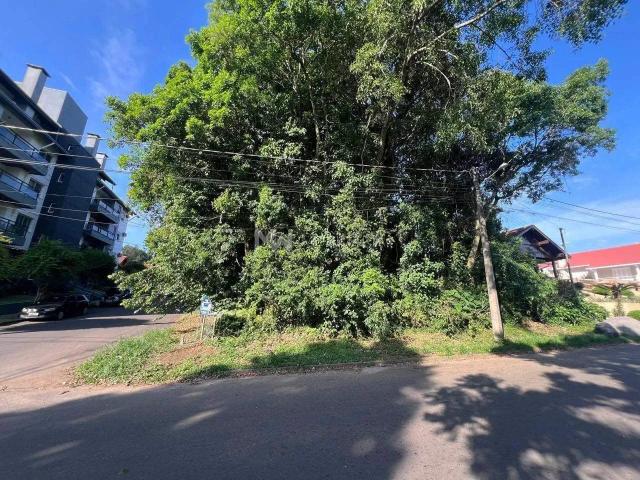 Terreno / Lote para Venda em Nova Petrópolis/RS Logradouro