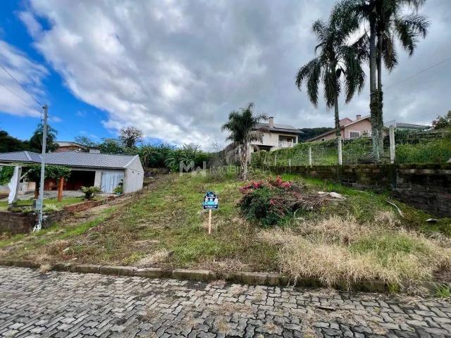 Terreno / Lote para Venda em Nova Petrópolis/RS Pinhal Alto