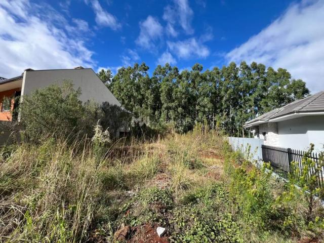 Terreno / Lote para Venda em Nova Petrópolis/RS Pinhal Alto