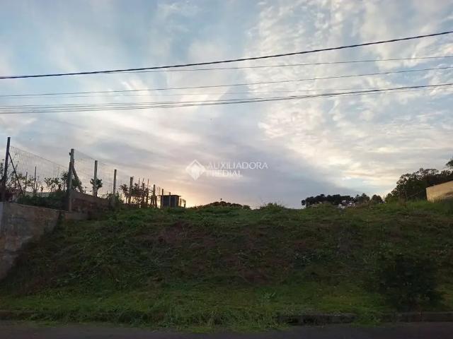 Terreno / Lote para Venda em Nova Petrópolis/RS Pinhal Alto