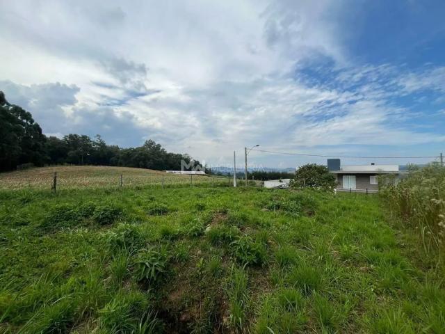 Terreno / Lote para Venda em Nova Petrópolis/RS Pinhal Alto