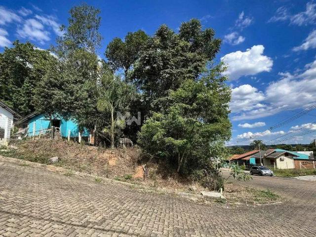 Terreno / Lote para Venda em Nova Petrópolis/RS Piá