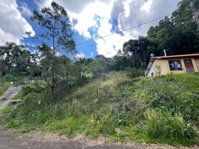 Terreno / Lote para Venda em Nova Petrópolis/RS Piá