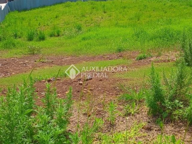 Terreno / Lote para Venda em Nova Petrópolis/RS Pousada da Neve