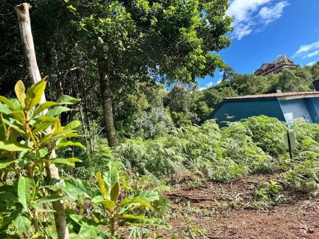 Terreno / Lote para Venda em Nova Petrópolis/RS Pousada da Neve