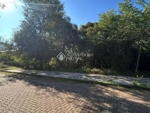 Terreno / Lote para Venda em Nova Petrópolis/RS Pousada da Neve
