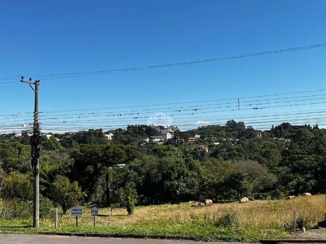 Terreno / Lote para Venda em Nova Petrópolis/RS Pousada da Neve