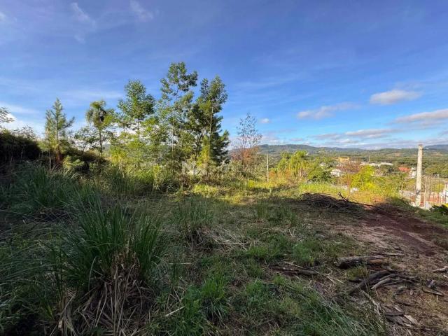 Terreno / Lote para Venda em Nova Petrópolis/RS Pousada da Neve