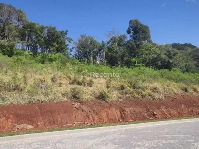 Terreno / Lote para Venda em Nova Petrópolis/RS Pousada da Neve