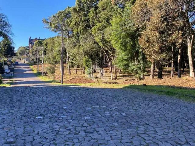 Terreno / Lote para Venda em Nova Petrópolis/RS Pousada da Neve