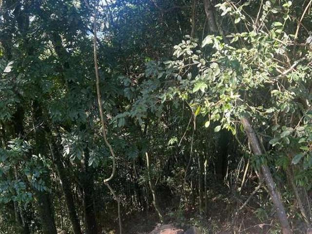 Terreno / Lote para Venda em Nova Petrópolis/RS Pousada da Neve