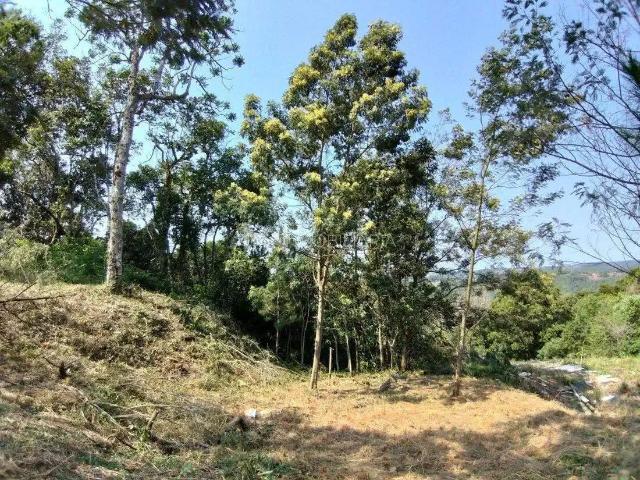 Terreno / Lote para Venda em Nova Petrópolis/RS Pousada da Neve