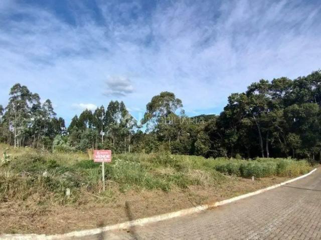 Terreno / Lote para Venda em Nova Petrópolis/RS Recanto dos Plátanos