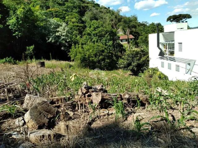 Terreno / Lote para Venda em Nova Petrópolis/RS Recanto dos Plátanos