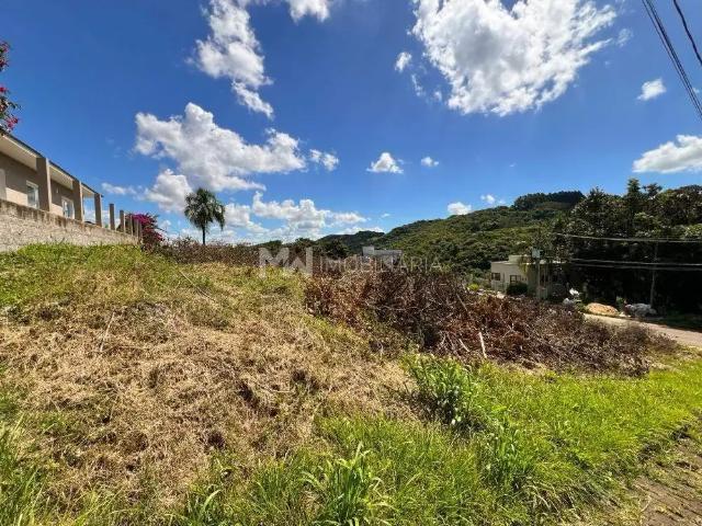Terreno / Lote para Venda em Nova Petrópolis/RS Recanto dos Plátanos
