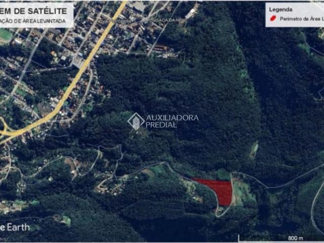 Terreno / Lote para Venda em Nova Petrópolis/RS São Jacó