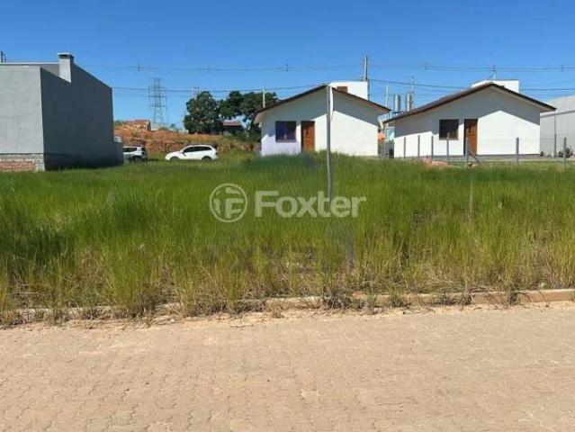 Terreno / Lote para Venda em Nova Santa Rita/RS Berto Círio