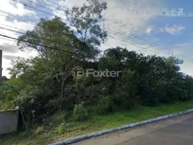 Terreno / Lote para Venda em Nova Santa Rita/RS Berto Círio