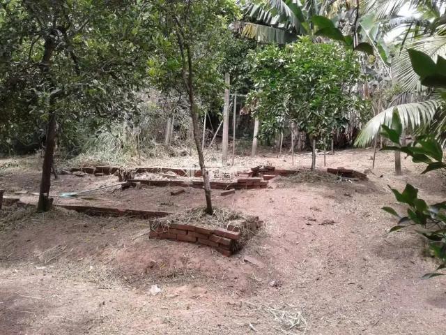 Terreno / Lote para Venda em Nova Santa Rita/RS Centro