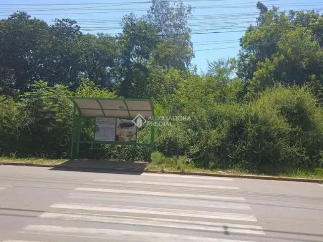Terreno / Lote para Venda em Nova Santa Rita/RS Floresta