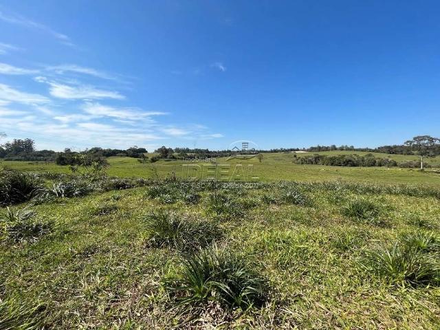 Terreno / Lote para Venda em Nova Santa Rita/RS Sanga Funda