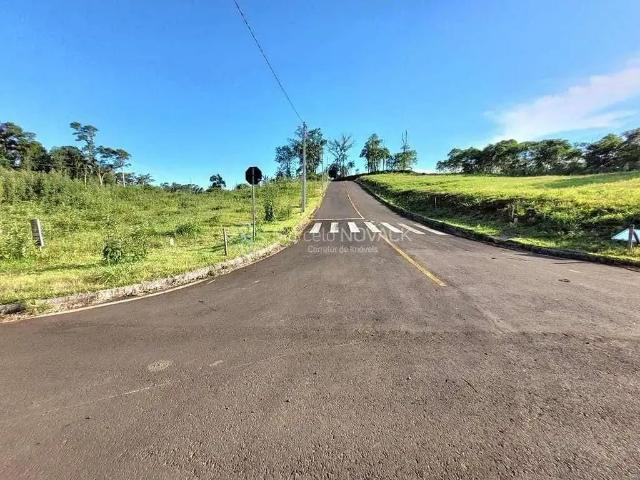Terreno / Lote para Venda em Nova Veneza/SC Caravaggio
