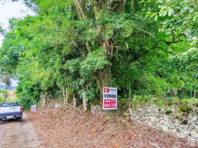 Terreno / Lote para Venda em Nova Veneza/SC Centro