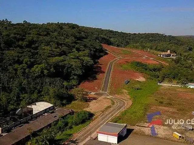 Terreno / Lote para Venda em Nova Veneza/SC Centro