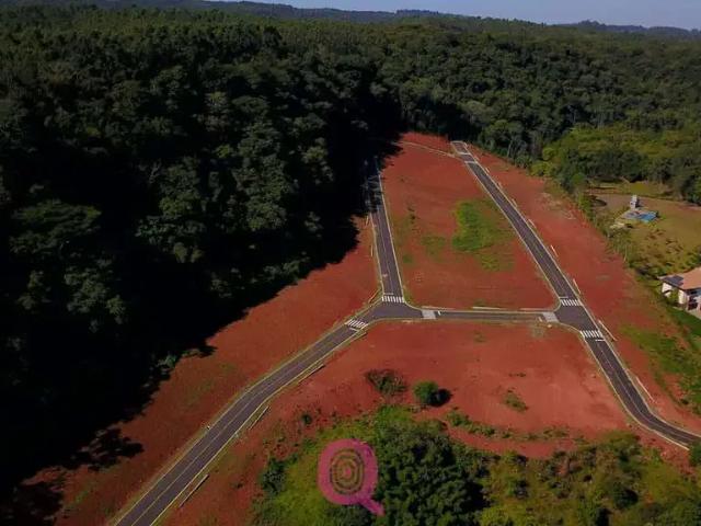 Terreno / Lote para Venda em Nova Veneza/SC Centro